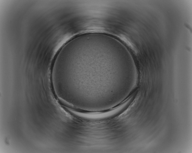 X0000098131325200804241640