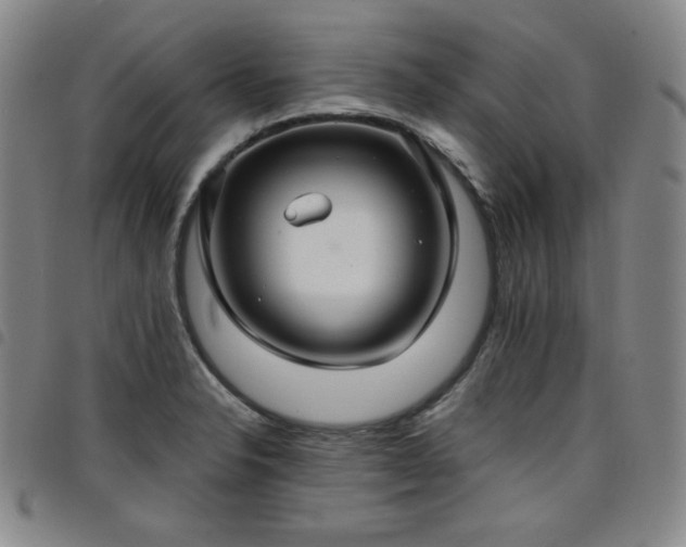 X0000098131326200804241640