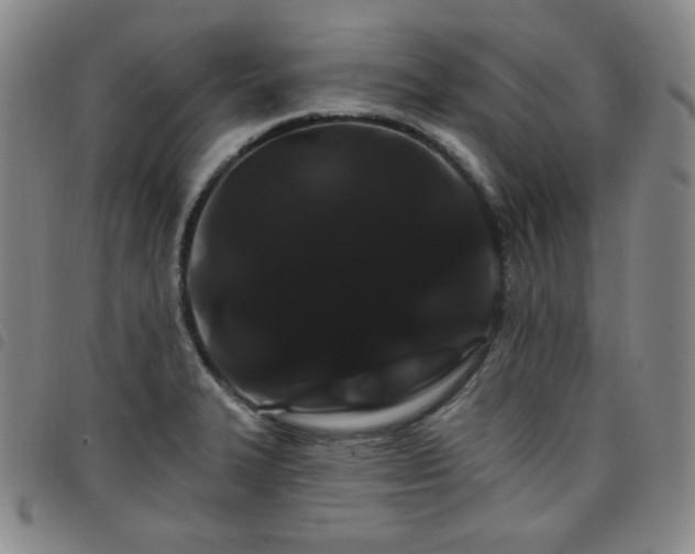 X0000098131327200804241640