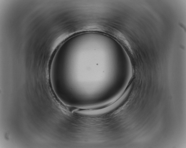 X0000098131328200804241640