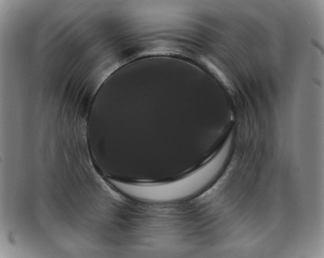 X0000098131329200804241640