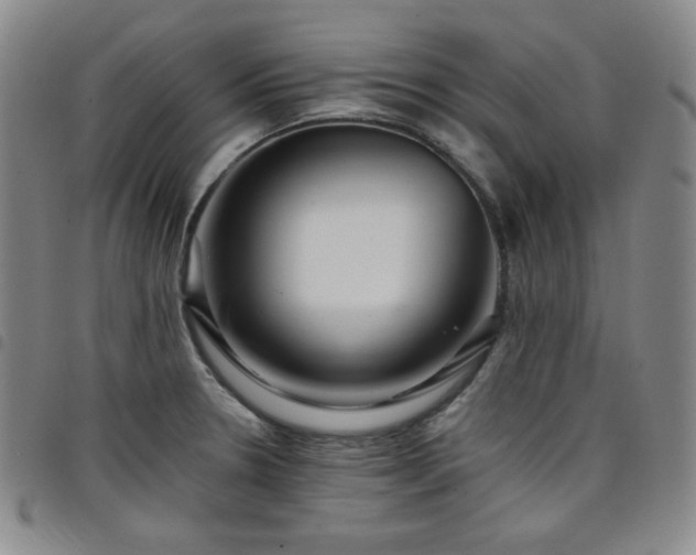 X0000098131330200804241640