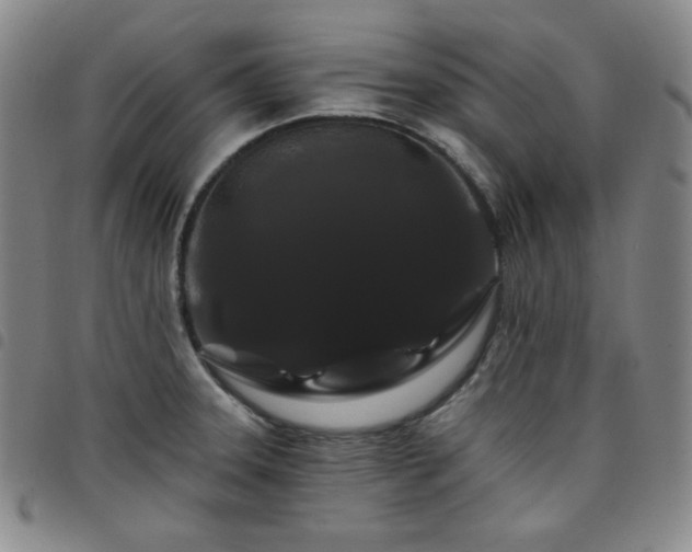 X0000098131331200804241640
