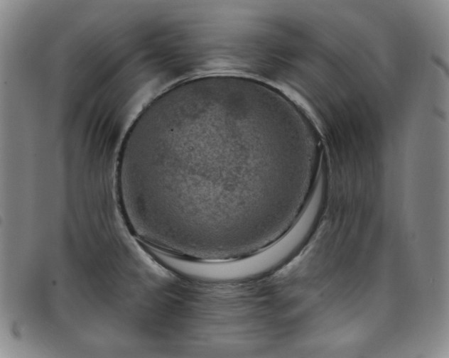 X0000098131333200804241640