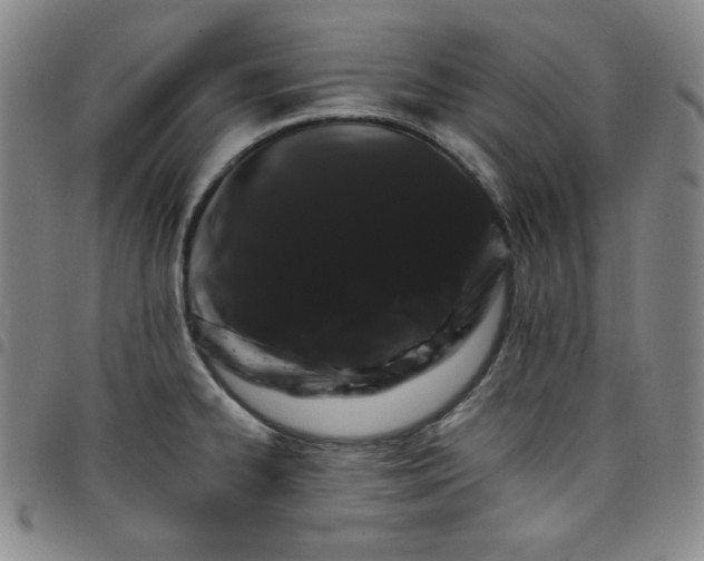 X0000098131334200804241640