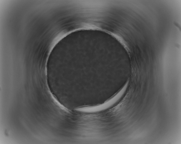 X0000098131335200804241640
