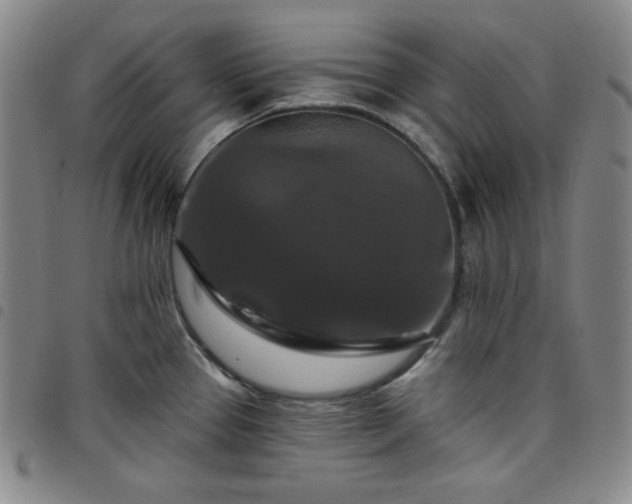 X0000098131337200804241640