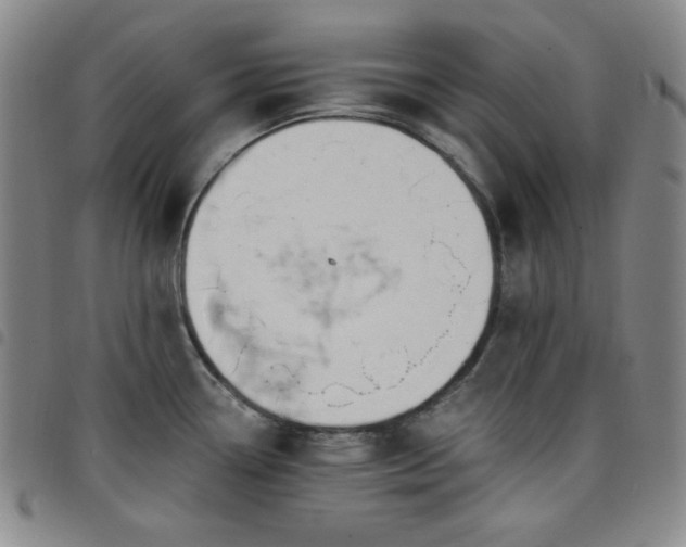 X0000098131338200804241640