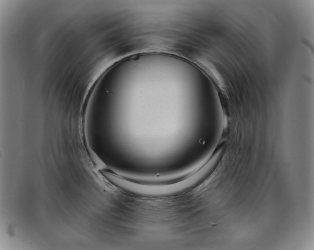 X0000098131340200804241640
