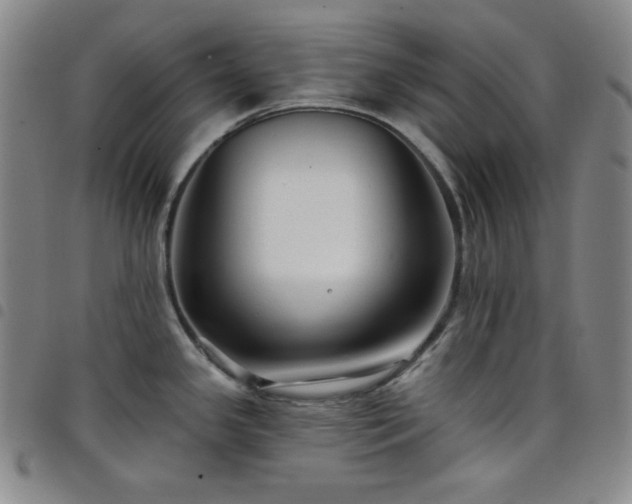 X0000098131341200804241640