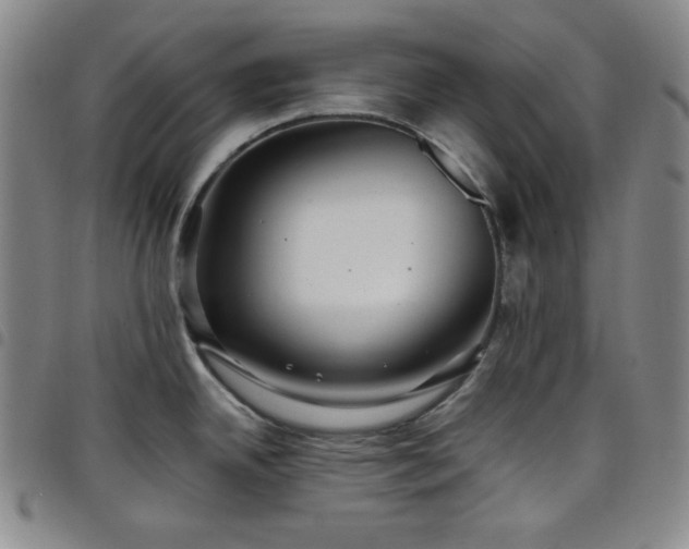 X0000098131342200804241640