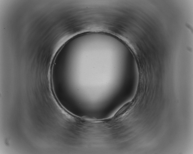 X0000098131343200804241640