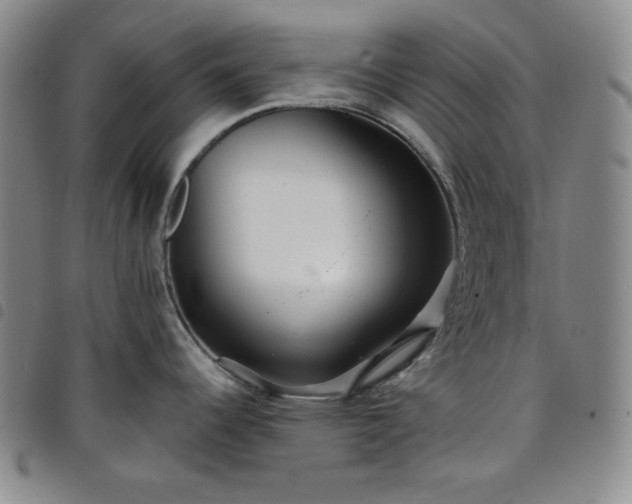 X0000098131344200804241640