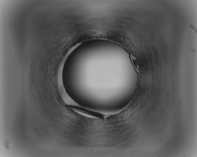 X0000098131345200804241640