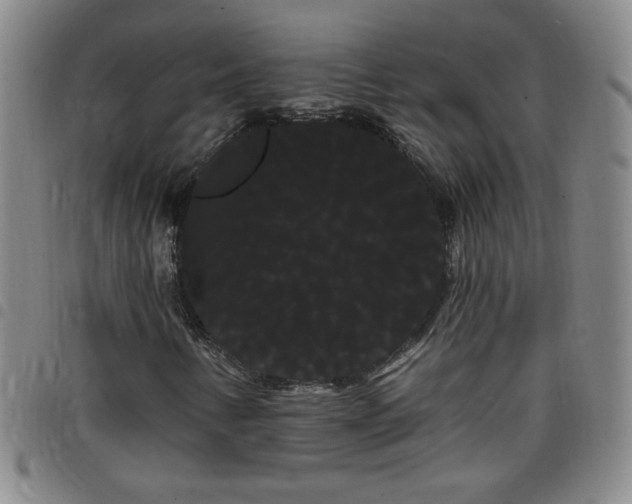 X0000098131346200804241640