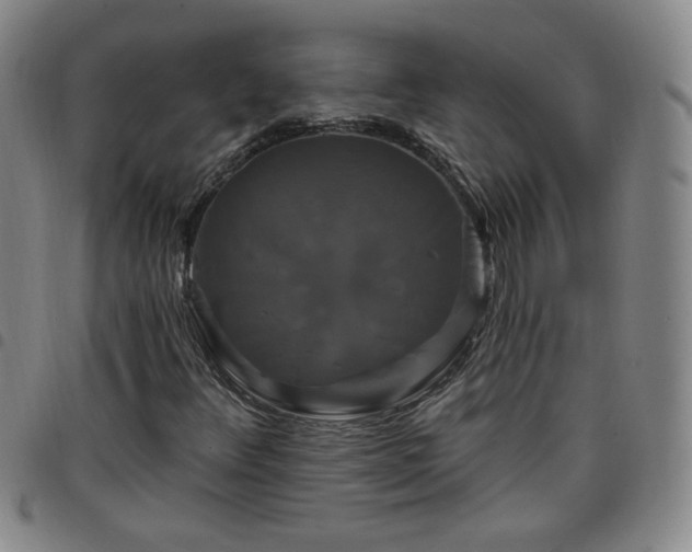 X0000098131348200804241640