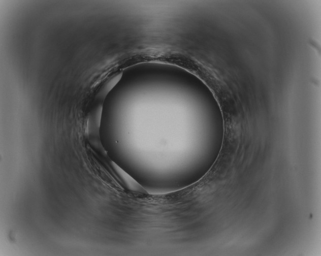 X0000098131349200804241640