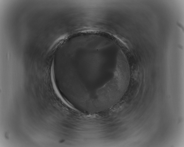X0000098131351200804241640