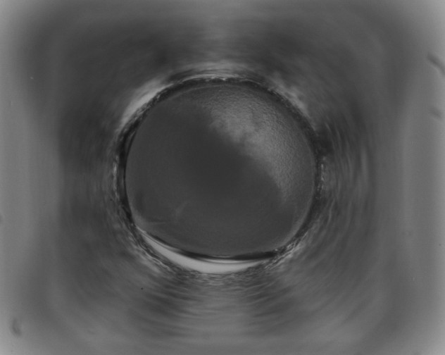 X0000098131352200804241640