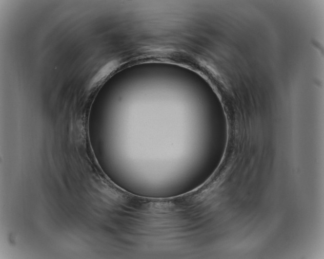 X0000098131354200804241640
