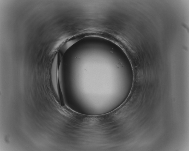 X0000098131355200804241640