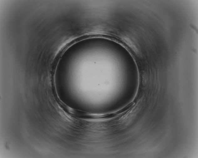 X0000098131356200804241640