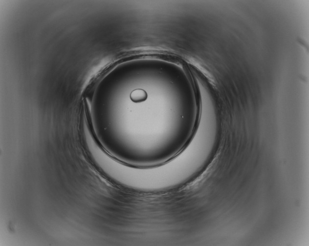 X0000098131357200804241640