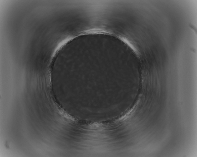 X0000098131358200804241640