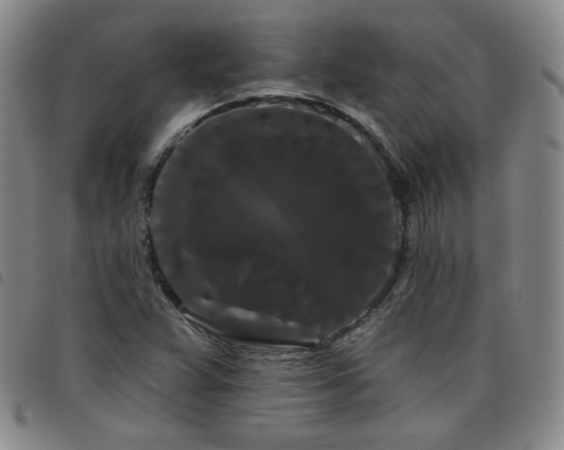 X0000098131359200804241640