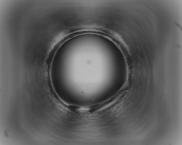 X0000098131360200804241640