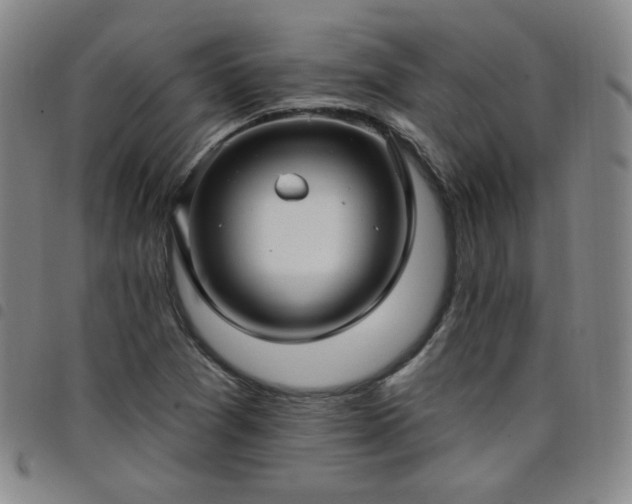 X0000098131361200804241639