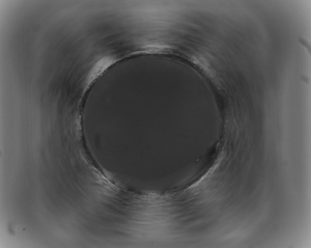 X0000098131362200804241639