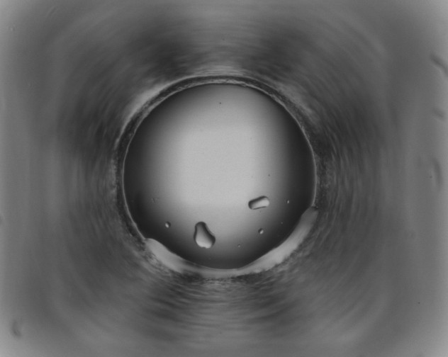 X0000098131364200804241639