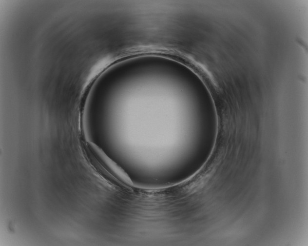 X0000098131365200804241639
