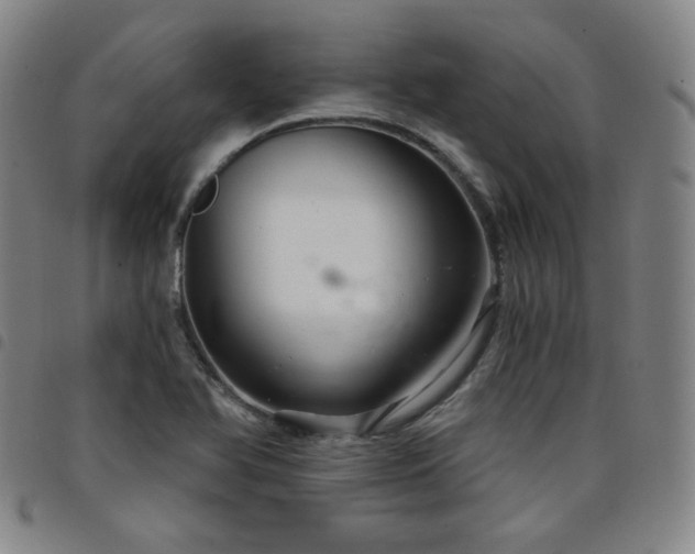 X0000098131366200804241639