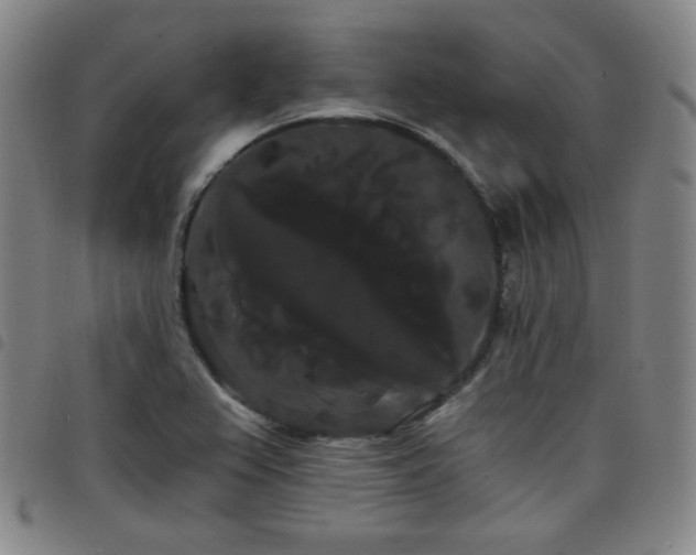 X0000098131367200804241639