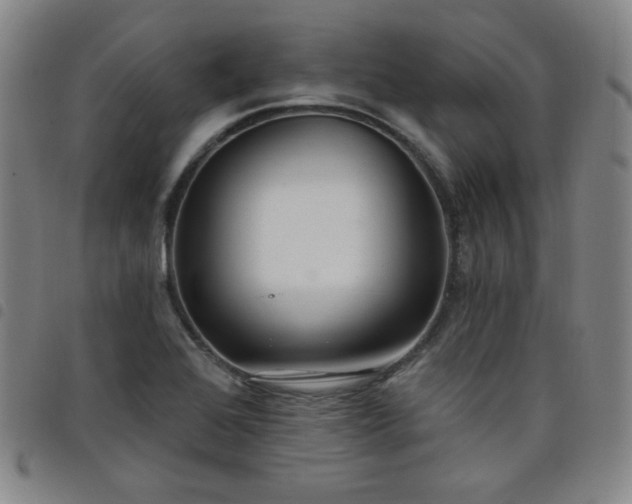 X0000098131368200804241639