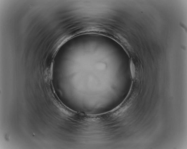 X0000098131369200804241639