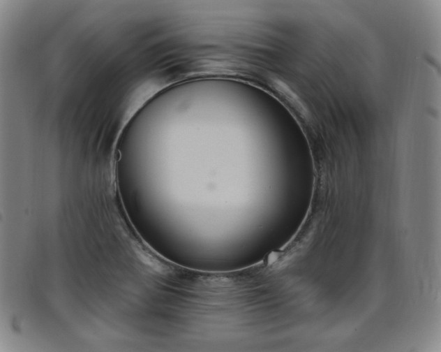X0000098131370200804241639