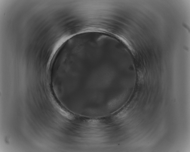 X0000098131371200804241639