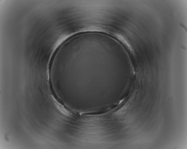 X0000098131372200804241639