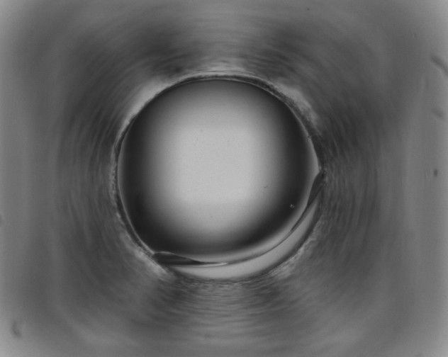 X0000098131374200804241639