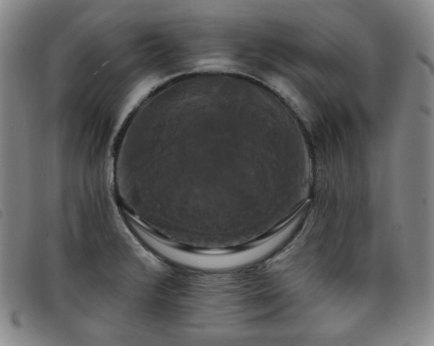 X0000098131376200804241639