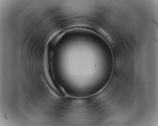 X0000098131377200804241639