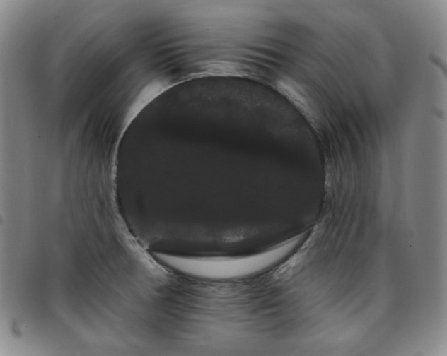 X0000098131378200804241639