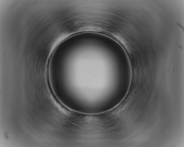 X0000098131379200804241639