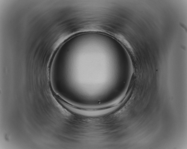 X0000098131380200804241639