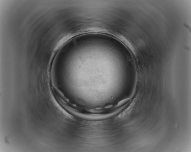 X0000098131381200804241639