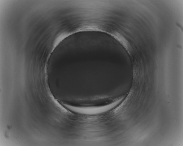 X0000098131382200804241639