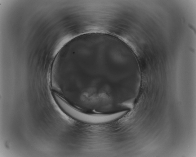 X0000098131383200804241639
